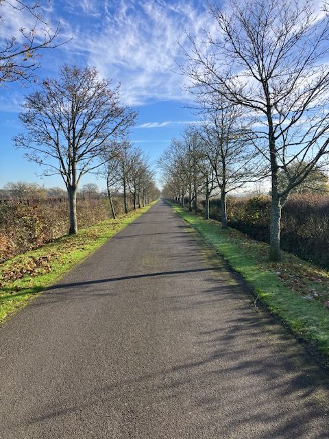 Path near Blindley Heath